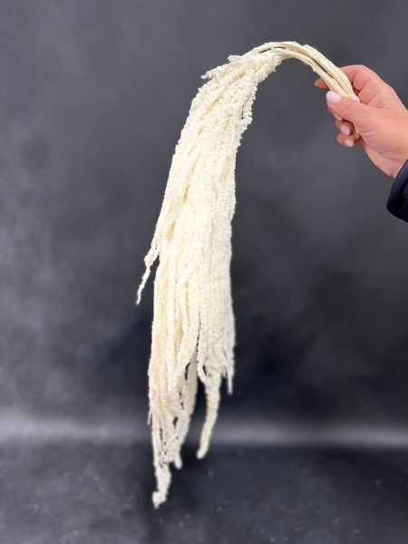 Amaranthus stabilized white