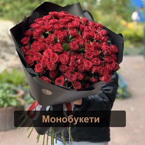 mono_kub
